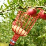 Teleskopinis vaisių skynėjas su krepšiu (Juoda)