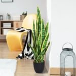 Dirbtinė gyvatbarzdė (Sansevieria) 90 cm su stabilizuojančiu vazonu (Geltona)