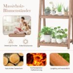 Medinis keturių pakopų augalų stovas (Ruda)