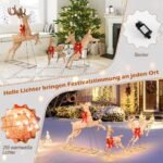 Apšviestas Kalėdų elnių rinkinys (3 vnt) (Balta)