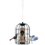 Eichhörnchensicher paukščių lesykla (Tamsiai žalia)