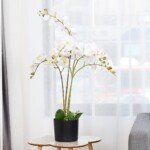 Dirbtinis Dekoratyvinis Augalas – 75 cm aukštas (Balta)