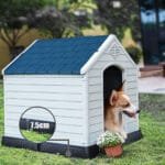 Plastikinė šunų būda paaukštintu dugnu (Mėlyna ir balta)