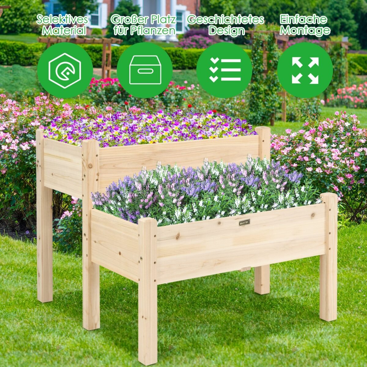 Daugiaaukštis medinis lysvas 86x85x72 5 cm (Natūrali)