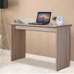 Biuro stalas su didele stalviršiu ir tvirta konstrukcija 120x49x77 cm (Ruda)