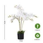 Dirbtinis Dekoratyvinis Augalas – 75 cm aukštas (Balta)