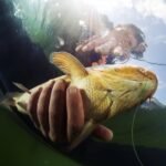 Pripučiama valtis žvejybai su laikymo kišenėmis ir matuokliu (Tamsi (maskuojanti))