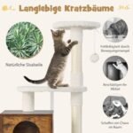 Namų interjero katės namelis su draskykle (Ruda)