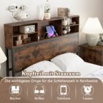 Dvigulės lovos rėmas su integruota įkrovimo stotele ir daiktadėžėmis (Rustikalus rudas)