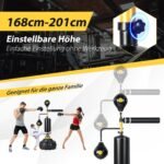 Reguliuojamo aukščio stovimas bokso treniruoklis su dviejų greičių kamuoliukais (Juoda)