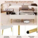 Reguliuojamo aukščio kavos staliukas su atidaromu stalviršiu ir dviem paslėptomis daiktadėžėmis (Riešuto)