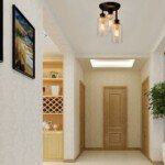 Modernus 3 lempučių lubinis šviestuvas su stikliniais gaubtais (Juoda)