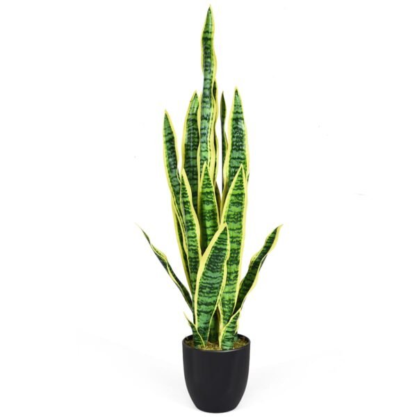 Dirbtinė gyvatbarzdė (Sansevieria) 90 cm su stabilizuojančiu vazonu (Geltona)