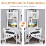 Kampinis kompiuterio stalas su lentynomis (Balta)