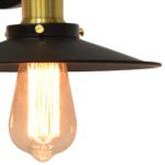 Dvigubas industrinio stiliaus sieninis šviestuvas su gaubtu (Juoda)