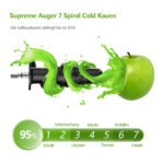 Lėtaeigė sulčiaspaudė su variniu varikliu (Sidabrinė)