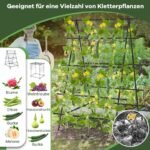Laipiojančių augalų atrama su tinkleliu ir spaustuvais (Juoda)