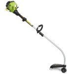 Benzininis krūmapjovė su 800 W varikliu (Žalia)