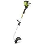 Benzininis krūmapjovė su 800 W varikliu (Žalia)