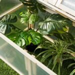 Medinis šiltnamis gėlėms ir daržovėms 100 x 53 x 71 cm (Natūrali)