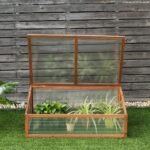 Medinis šaltas šiltnamis (Natūrali)