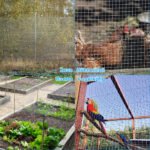 Tvirtas metalinis tinklas daržui ir namams 0 9 x 15 m (Sidabrinė)