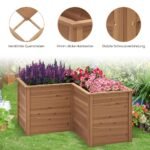 L formos lauko daržo lysvė (Ruda)