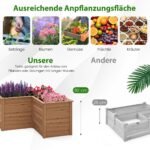 L formos lauko daržo lysvė (Ruda)