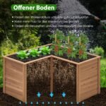 L formos lauko daržo lysvė (Ruda)