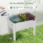 Aukštasis lysvės su savaime laistymo sistema (Balta)