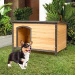 Medinė lauko šunų būda atverčiamu stogu (Natūrali)