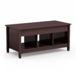 Reguliuojamo aukščio kavos staliukas su daiktų laikymo vieta (Ruda)