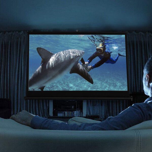 50 colių nešiojamas stalinis projektoriaus ekranas (Balta)