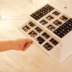 Daugiapakopė papuošalų dėžutė su 6 skyreliais ir 5 stalčiais (Balta)