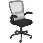 Ergonomiška biuro kėdė su juosmens atramos ir masažo funkcija (Pilka)