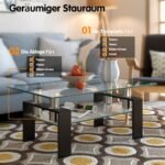 Stiklinis kavos staliukas su apatine lentyna (Juoda)