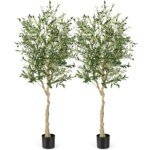 Dirbtiniai alyvuogių medeliai 182 cm 2 vnt (Žalia)