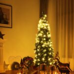 Kalėdinė eglutė su metaliniu stoveliu 220 cm 630 šakų (Žalia)