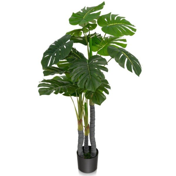 Monstera Deliciosa medis 120 cm (Žalia)