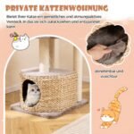 Medinė kačių draskyklė su platformomis ir nameliu (Ruda)