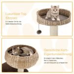 Namelių ir stulpelių katėms su braižymui skirtais paviršiais (Ruda)