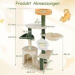 Namelių ir draskyklių kompleksas katėms (Spalvotas)