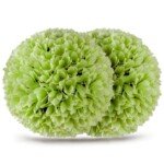 Dirbtinio buksmedžio rutulys UV atsparus 28 cm (Žalia)