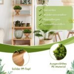 Dirbtinės mini pušaitės su puodeliais (4 vnt) (Žalia)