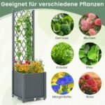 Pakeliamoji lysvė su atrama ir automatinio laistymo sistema (Pilka)