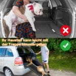 Ištraukiama šunų rampos automobiliams – gyvūnų įlaipinimo pagalba (Juoda)