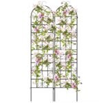 Metalinės laipiojančių augalų atramos 2 vnt. 220x50 cm (Juoda)