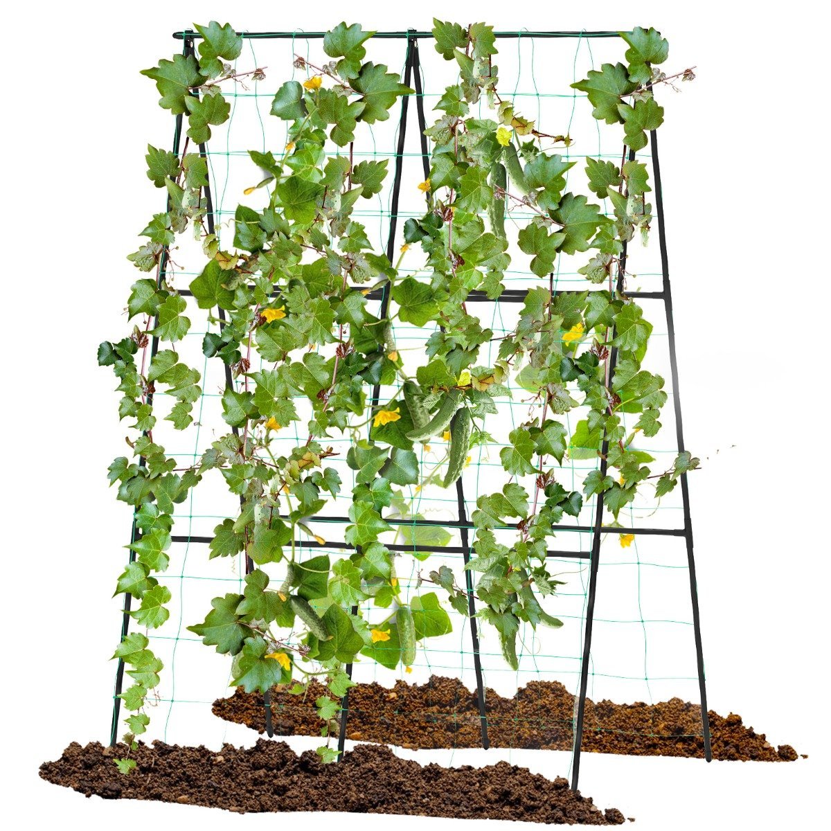 rankhilfe-rankgitter-12432_7_ Reguliuojamo pločio A formos augalų atrama su tinkleliu (Juoda)
