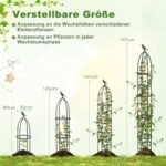 Aukščio reguliuojama augalų atrama su dekoratyviniais antgaliais 2 vnt (Juoda)