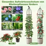 Aukščio reguliuojama augalų atrama su dekoratyviniais antgaliais 2 vnt (Juoda)